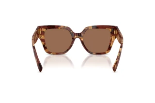 Rückansicht Dolce & Gabbana DG4471 (346273)