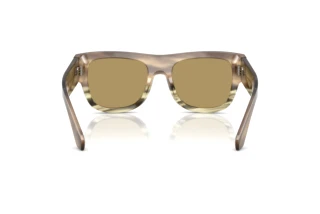 Rückansicht Dolce & Gabbana DG4484 (3439/2)