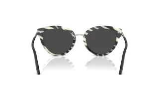 Rückansicht Dolce & Gabbana DG4492 (33728G)