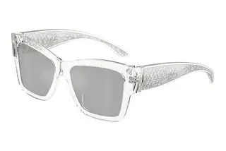 Dolce & Gabbana DG4493 31338V Clear Mirror SilverCrystal