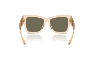 Rückansicht Dolce & Gabbana DG4493 (343203)