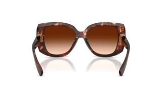 Rückansicht Dolce & Gabbana DG4495 (322274)