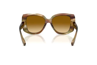 Rückansicht Dolce & Gabbana DG4495 (34462L)