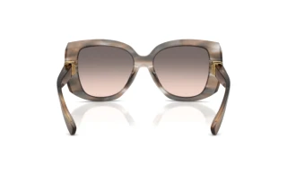 Rückansicht Dolce & Gabbana DG4495 (34493B)