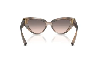 Rückansicht Dolce & Gabbana DG4497 (34493B)