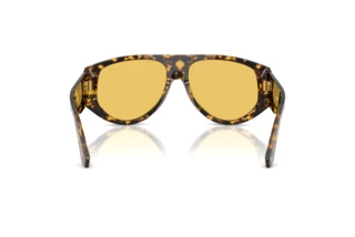 Rückansicht Dolce & Gabbana DG4499 (333085)