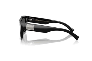 Seitenansicht Dolce & Gabbana DG4509 (501/87)