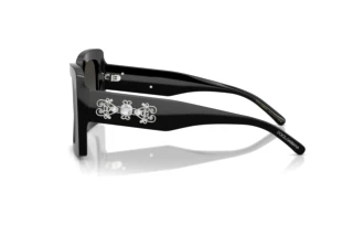 Seitenansicht Dolce & Gabbana DG4525B (501/88)