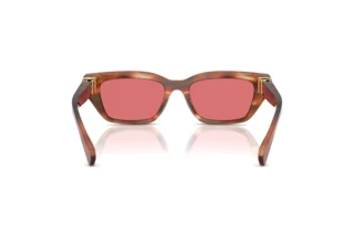 Rückansicht Dolce & Gabbana DG4532 (322175)