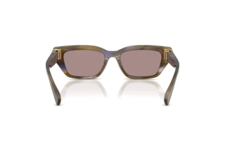 Rückansicht Dolce & Gabbana DG4532 (3447LA)