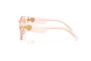 Seitenansicht Dolce & Gabbana DG4536 (304173)