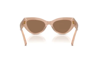 Rückansicht Dolce & Gabbana DG4536 (304273)