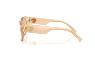 Seitenansicht Dolce & Gabbana DG4536 (308993)