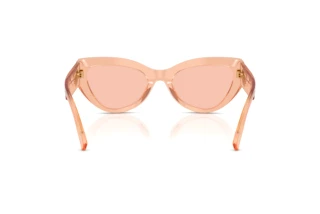 Rückansicht Dolce & Gabbana DG4536 (322684)