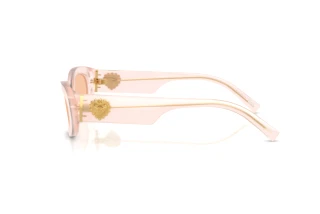 Seitenansicht Dolce & Gabbana DG4537 (304173)