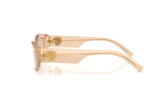 Seitenansicht Dolce & Gabbana DG4537 (308993)