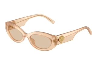 Vorderansicht Dolce & Gabbana DG4537 (308993)
