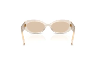 Rückansicht Dolce & Gabbana DG4537 (342093)