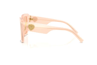 Seitenansicht Dolce & Gabbana DG4538 (304173)