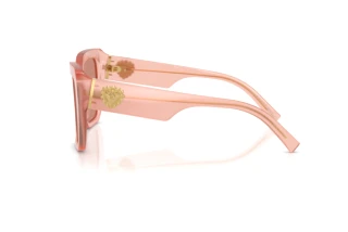 Seitenansicht Dolce & Gabbana DG4538 (338496)