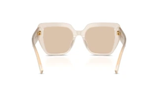 Rückansicht Dolce & Gabbana DG4538 (342093)