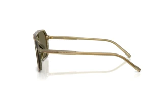 Seitenansicht Dolce & Gabbana DG4541 (3480/3)