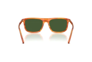 Rückansicht Dolce & Gabbana DG4542 (348371)