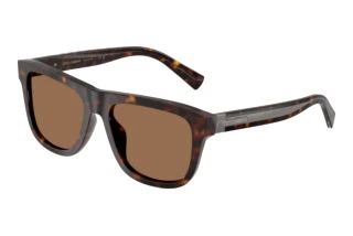 Vorderansicht Dolce & Gabbana DG4545 (502/73)