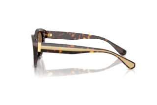 Seitenansicht Dolce & Gabbana DG4558 (502/73)