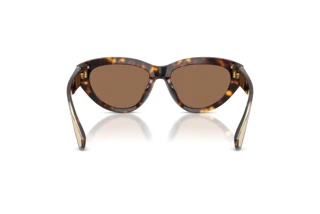 Rückansicht Dolce & Gabbana DG4558 (502/73)
