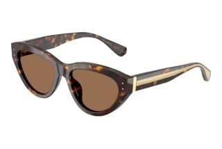 Vorderansicht Dolce & Gabbana DG4558 (502/73)