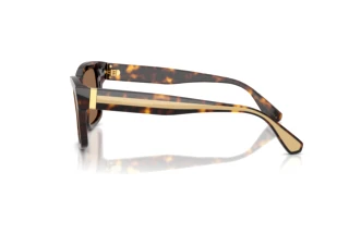 Seitenansicht Dolce & Gabbana DG4559 (502/73)
