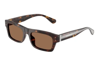 Vorderansicht Dolce & Gabbana DG4560 (502/73)