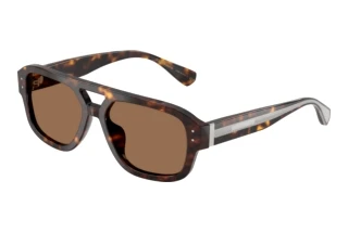 Vorderansicht Dolce & Gabbana DG4561 (502/73)