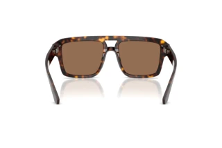 Rückansicht Dolce & Gabbana DG4562 (502/73)