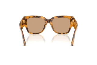 Rückansicht Dolce & Gabbana DG4563 (349663)