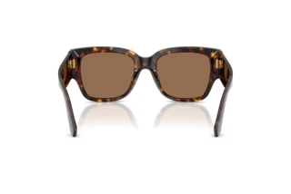 Rückansicht Dolce & Gabbana DG4563 (502/73)