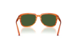 Rückansicht Dolce & Gabbana DG4566 (34839A)
