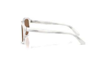 Seitenansicht Dolce & Gabbana DG4566 (349573)