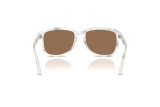 Rückansicht Dolce & Gabbana DG4566 (349573)