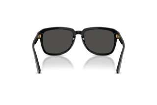 Rückansicht Dolce & Gabbana DG4566 (501/87)