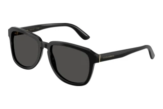 Vorderansicht Dolce & Gabbana DG4566 (501/87)