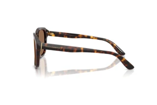 Seitenansicht Dolce & Gabbana DG4566 (502/73)