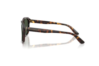 Seitenansicht Dolce & Gabbana DG4566 (502/9A)