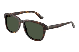 Vorderansicht Dolce & Gabbana DG4566 (502/9A)