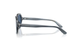 Seitenansicht Dolce & Gabbana DG4567 (348280)