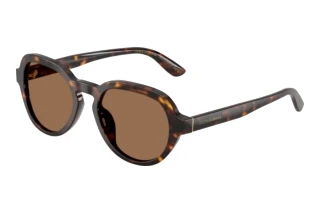 Vorderansicht Dolce & Gabbana DG4567 (502/73)