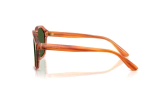 Seitenansicht Dolce & Gabbana DG4568 (34839A)