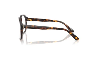 Seitenansicht Dolce & Gabbana DG4568 (502/SB)
