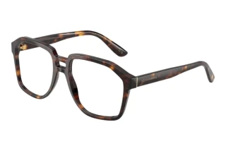 Vorderansicht Dolce & Gabbana DG4568 (502/SB)